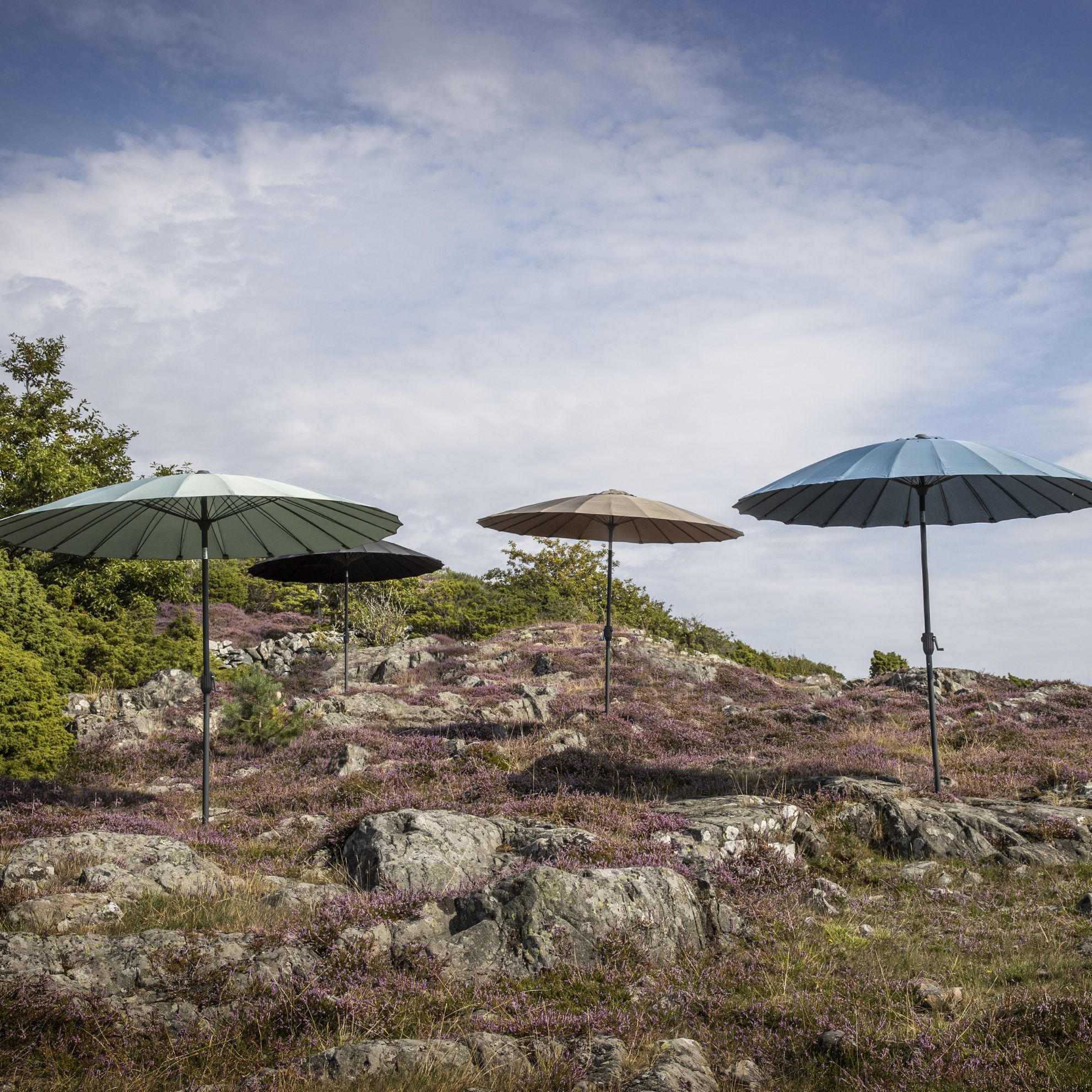 Fire parasoller i forskellige farver placeret i naturlandskab