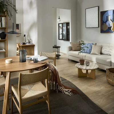 Indblik i stue med både spisebord, sovesofa, sofabord, vitrineskab og andet hjemlig hygge