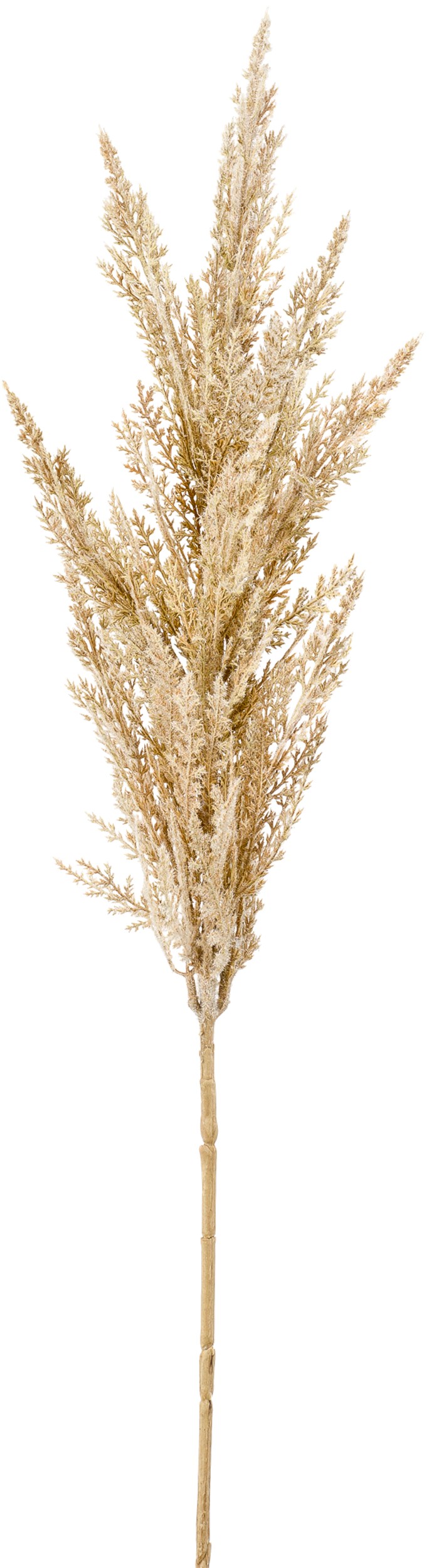 Pampas Kunstig plante 90 x 24 cm 