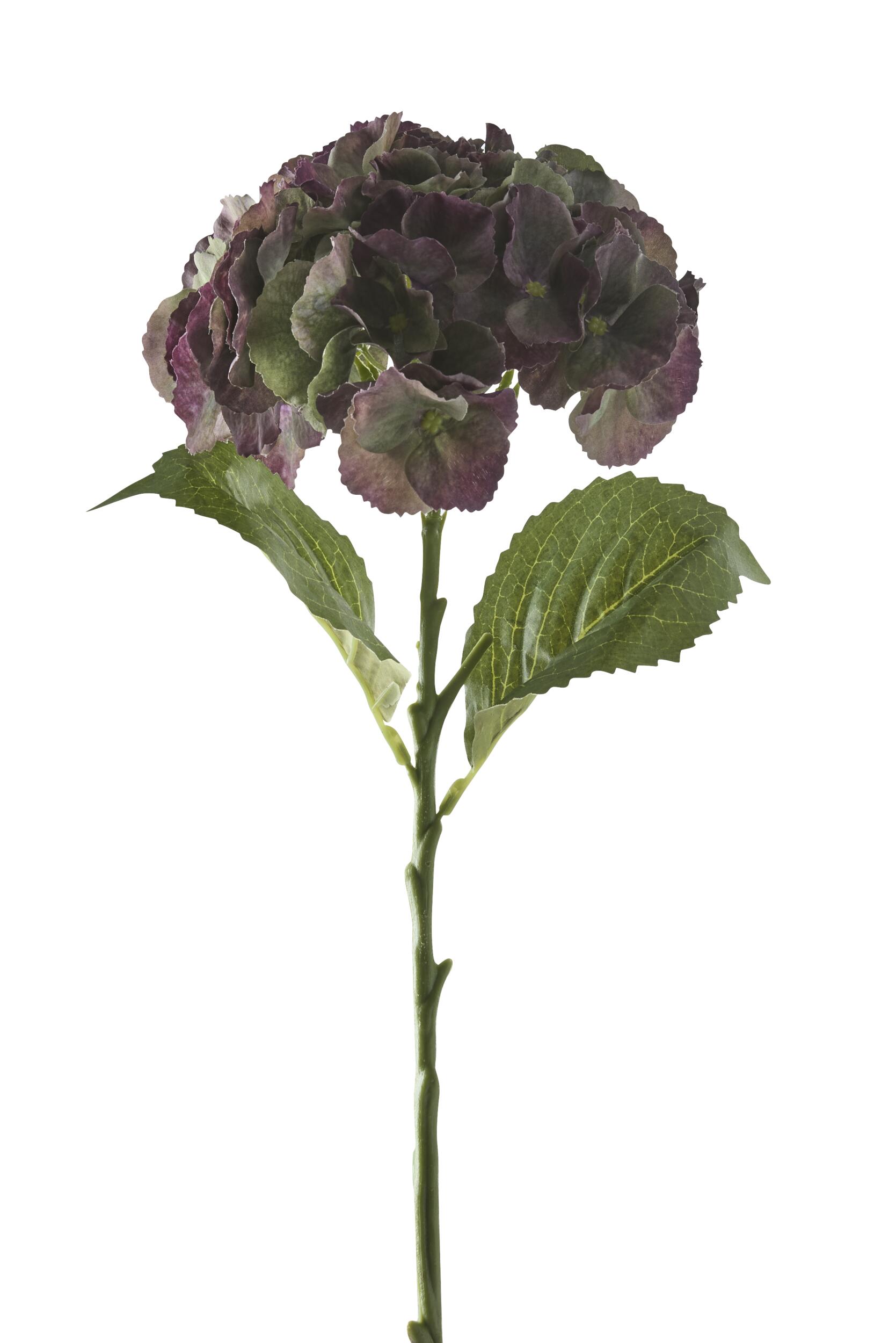 Hortensia small 2025 Kunstig plante 50 x 17 cm 