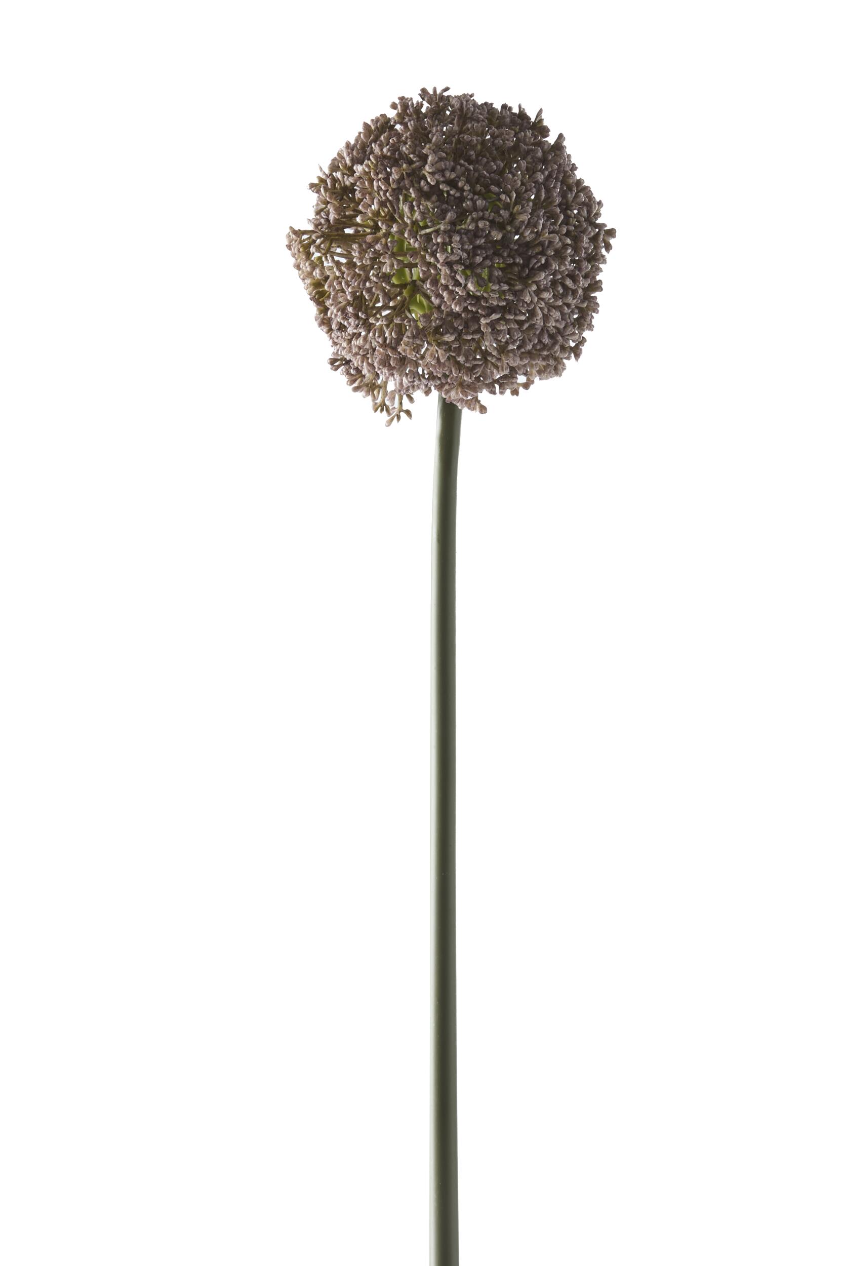 Prydløg Kunstig plante 74 x 11 cm 